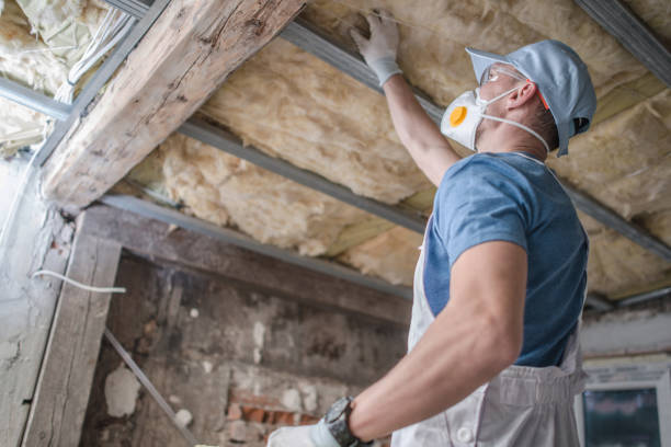 Best Geographic-Specific Insulation Services in Walnutport, PA
