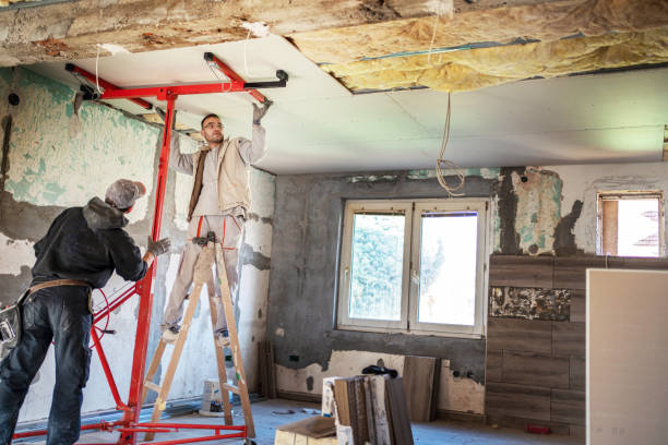 Best DIY Insulation Kits and Guidance in Walnutport, PA