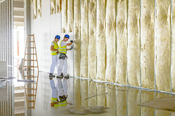 Types of Insulation We Offer in Walnutport, PA